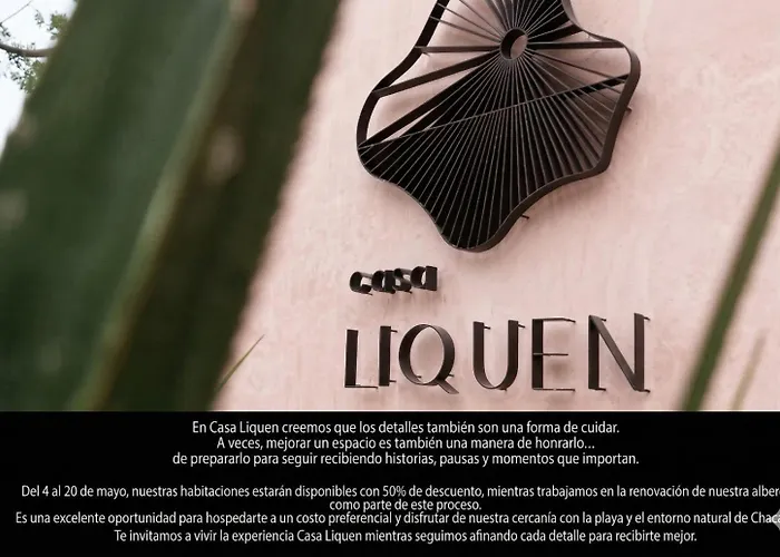 Casa Liquen
