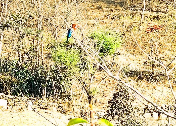MR Villa