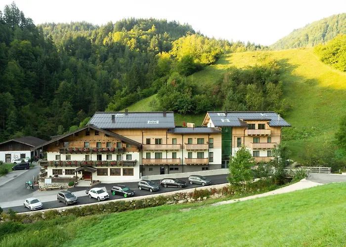Friedlwirt-Kraftplatz Natur