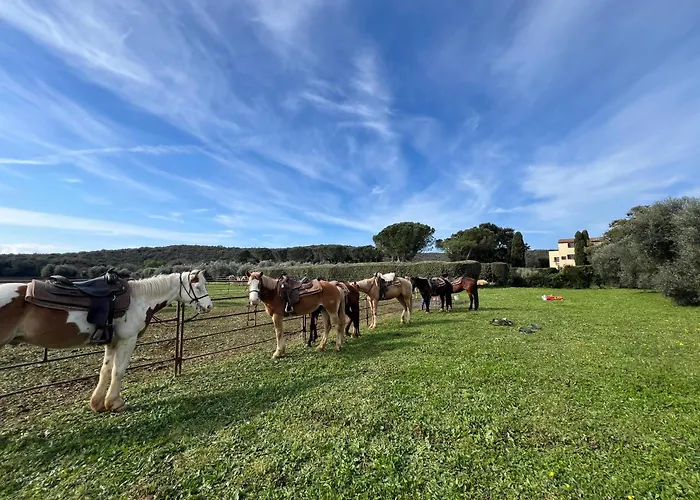 B&B Valle D'Oro