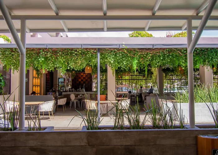 Eco City Hoteles