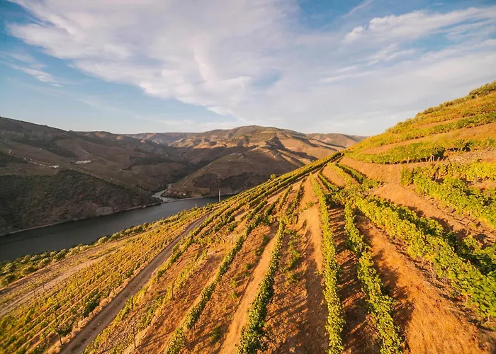 Quinta Vale De Lobos