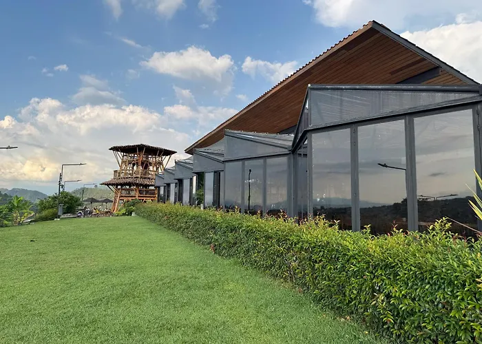 Finca Del Café