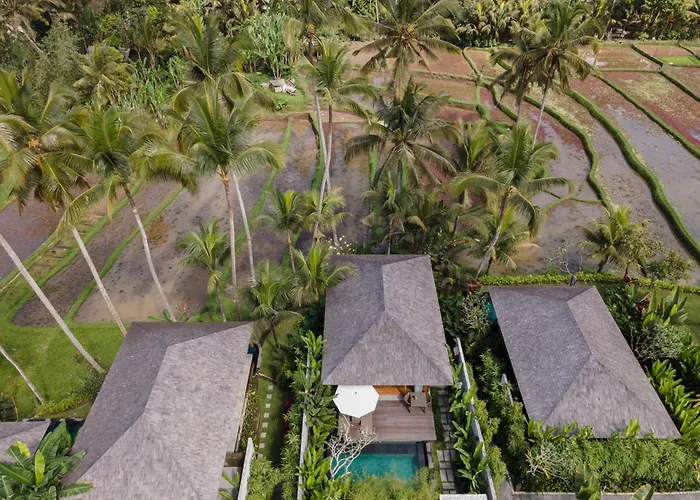 Kappa Senses Ubud