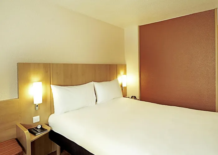 Ibis Arapiraca