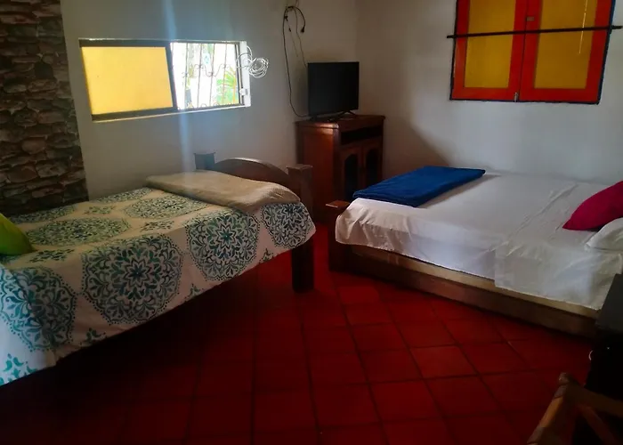 Finca La Colmena De Don Juaco