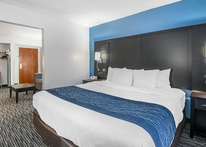 Comfort Inn University