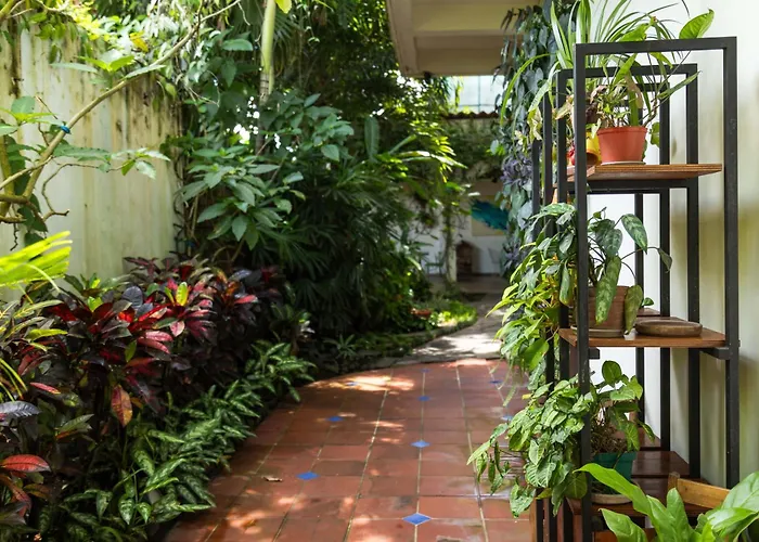 Arbol De Fuego Eco-Hotel