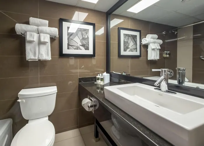 Coast Calgary University Area Hotel By Apa
