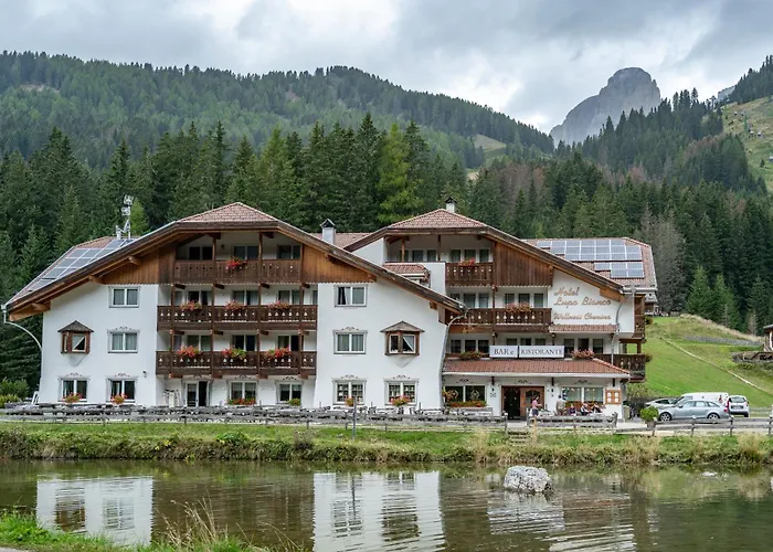 Wellness Lupo Bianco