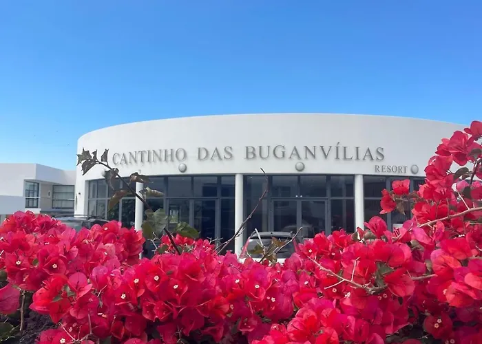Cantinho Das Buganvilias At**** Queimada 