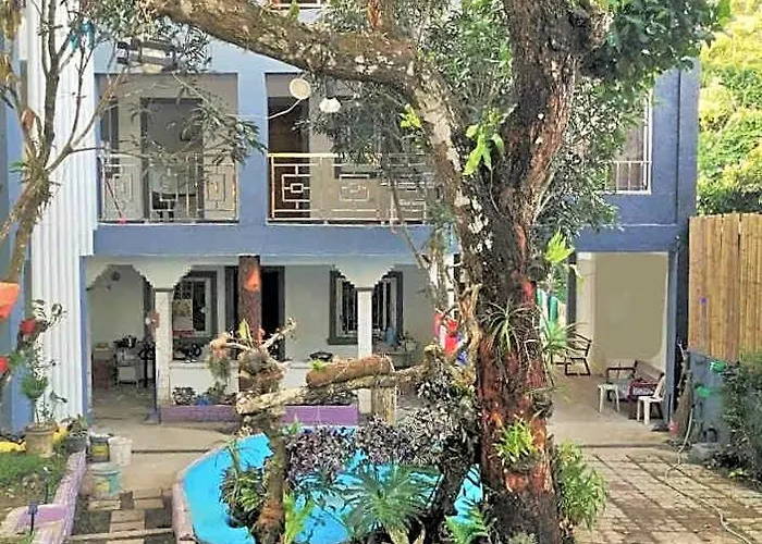 Purple Orchid Bed And Breakfast