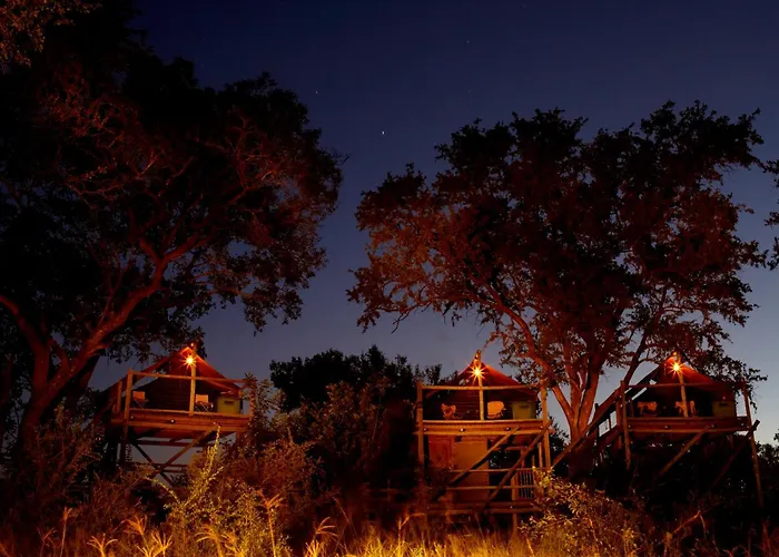 Rhino Walking Safaris