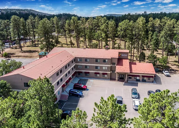 Comfort Inn & Suites Midtown
