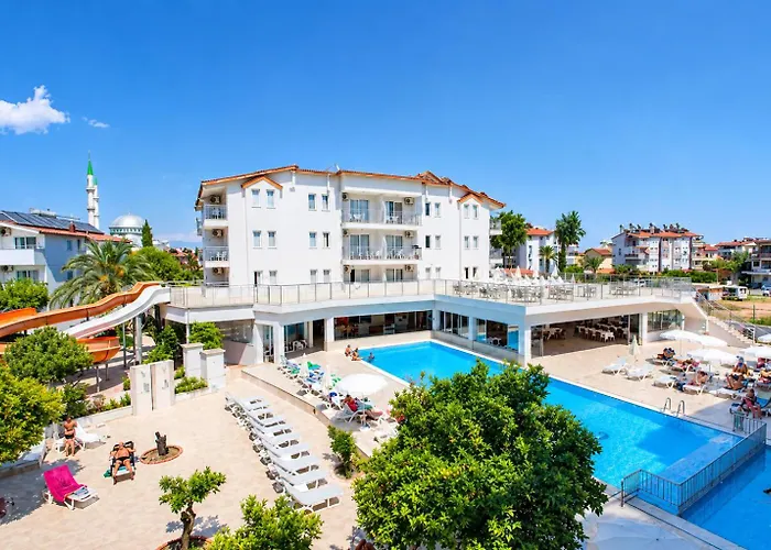 Catty Cats Garden Hotel