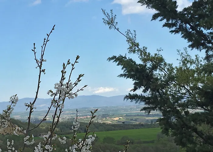 Villa Ambra