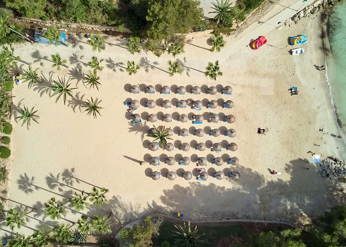 Hotel Occidental Cala Vinas Cala Vinas 