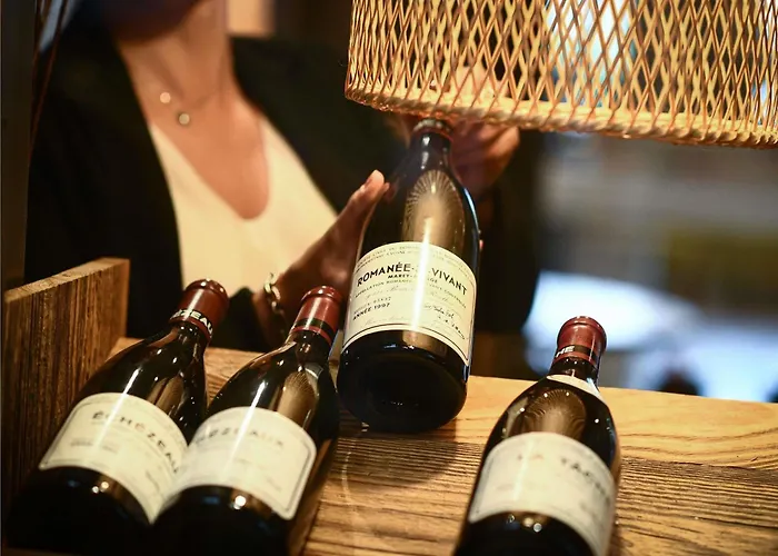 Ibis Beaune La Ferme Aux Vins
