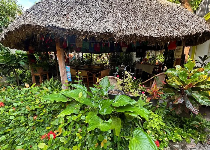 Hostal Casa Huasteca
