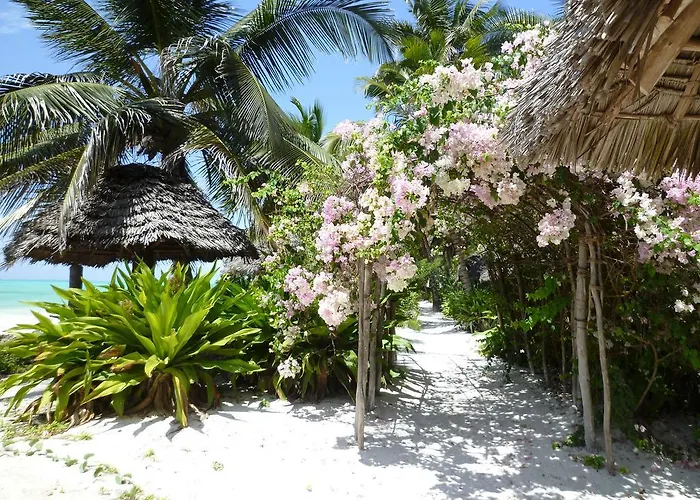 Paradise Beach Bungalows