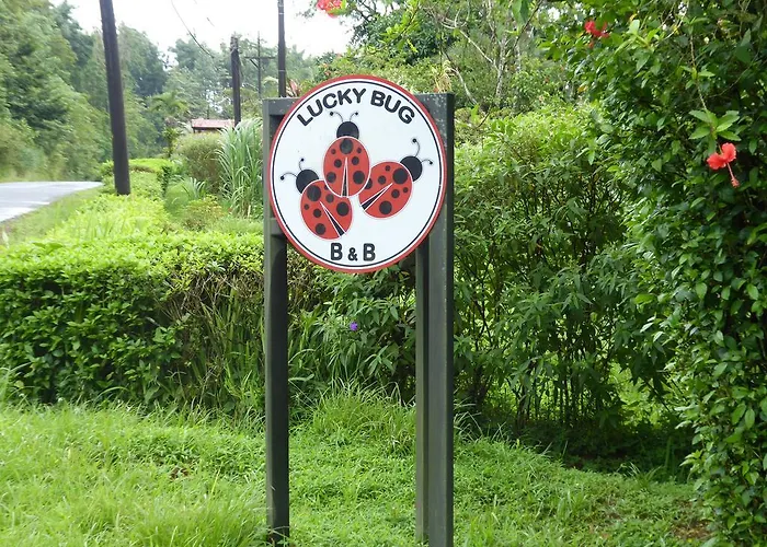 Lucky Bug Bed And Breakfast
