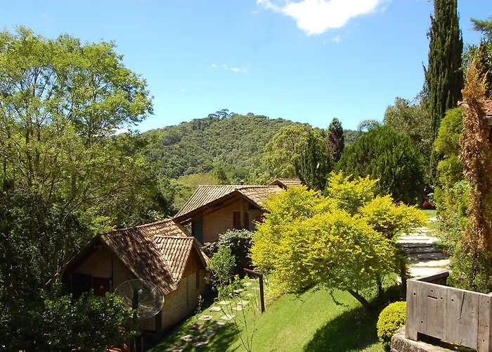 Pássaro de Fogo