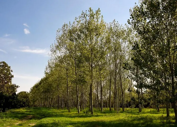 Masseria GiòSole