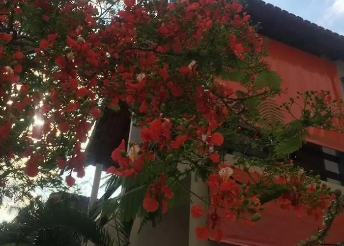 Pousada Das Seriemas Pirenópolis