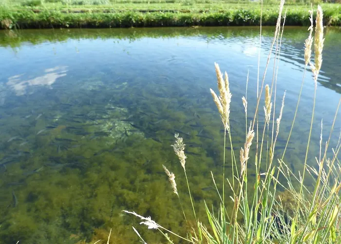 Wieselmühle Forellenhof Grünau im Almtal