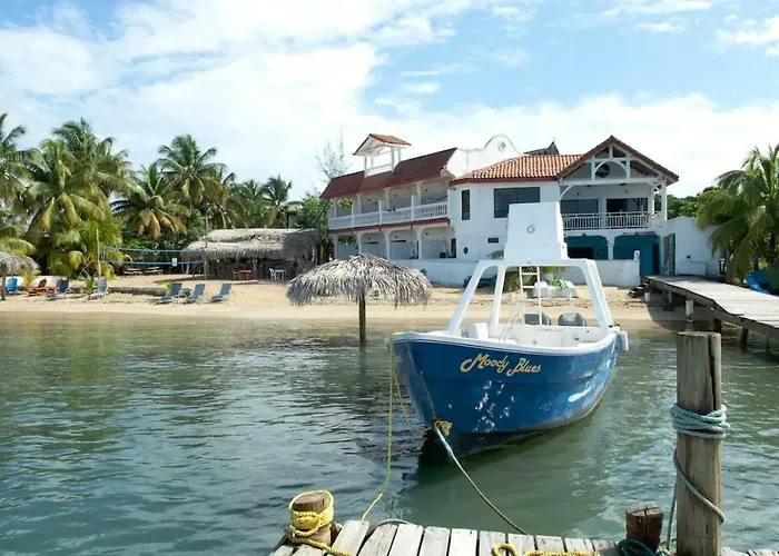 Brisas Del Mar Beach + Dive Resort