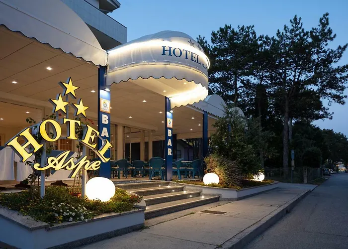 Hotel Aspe
