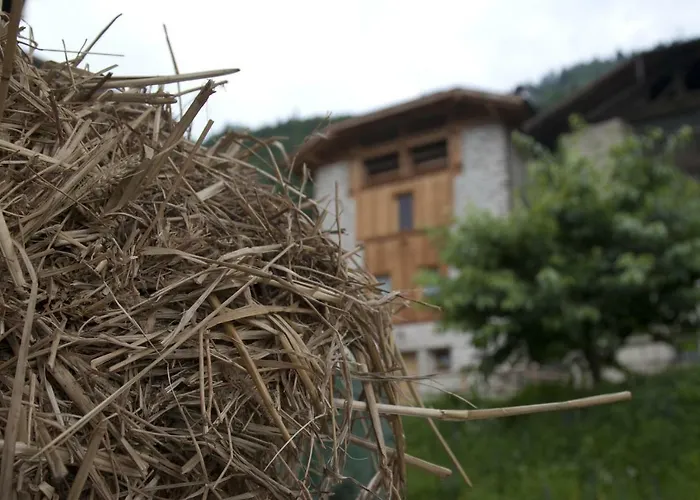 Agricampeggio Ai Gaggi