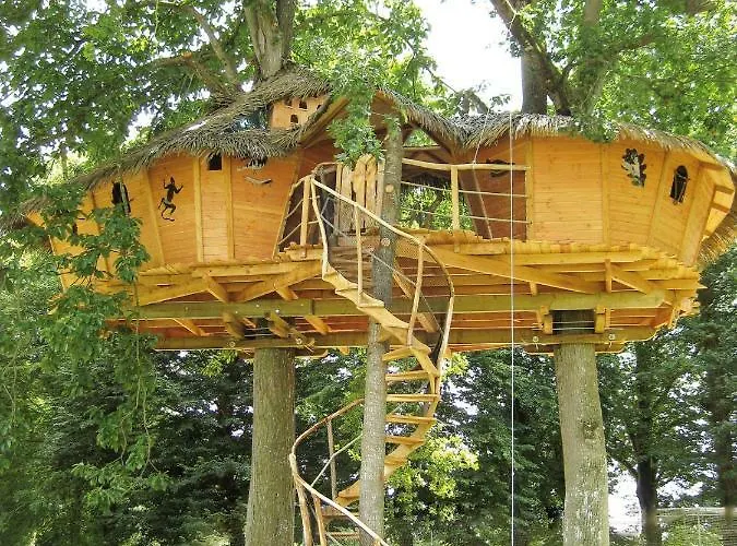 Insolite dans les arbres Les Ormes, Epiniac