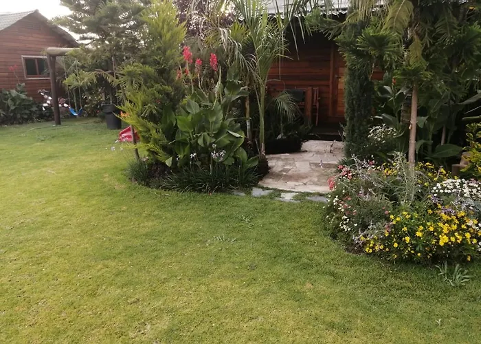 Cabañas la finca 2