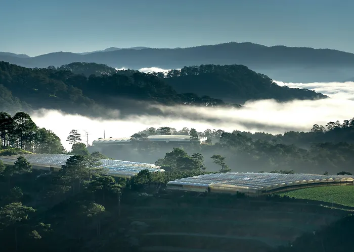 Golden Sun Hotel - Dalat